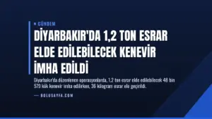 Diyarbakır’da 1,2 Ton Esrar Elde Edilebilecek Kenevir İmha Edildi