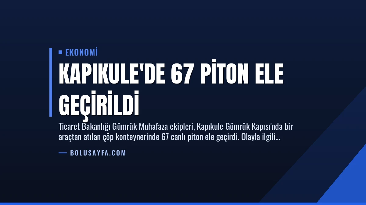 Kapıkule’de 67 Piton Ele Geçirildi